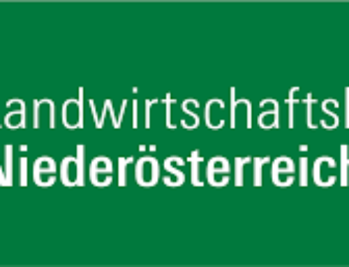 Amerikanische Rebzikade und Goldgelbe Vergilbung der Rebe